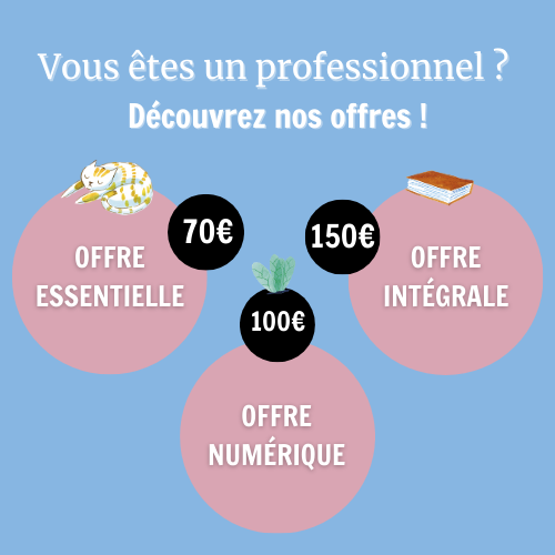 image actu